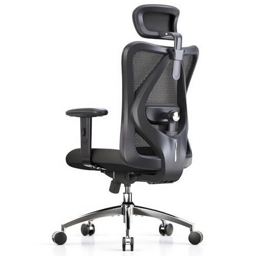 SIHOO M18 Ergonomic Office Chair, Mesh Back Desk Chair with Headrest