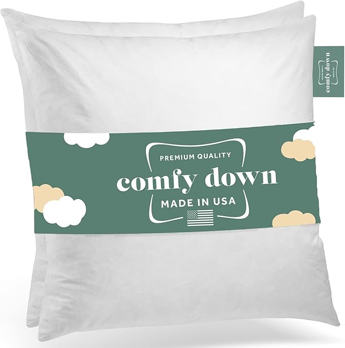 ComfyDown 22x22 Throw Pillow Inserts Set of 2, Down and Feather for IKEA KIVIK sofa