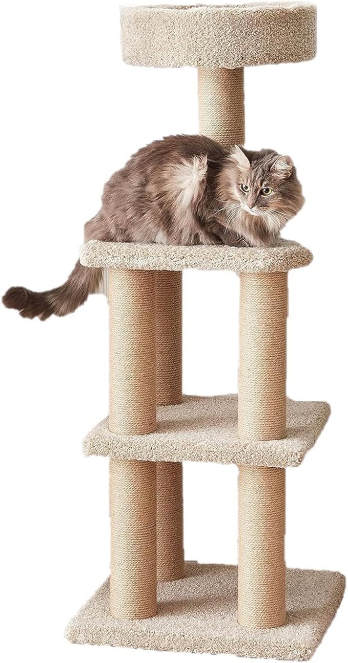Amazon Basics Cat Activity Tree on Amazon