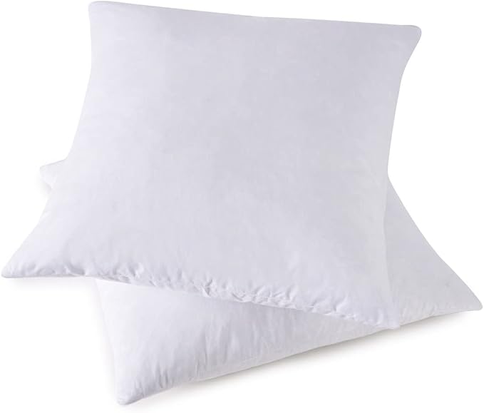 Throw Pillow Inserts, Set of 2 Down Feather, 20x20 for IKEA EKTORP