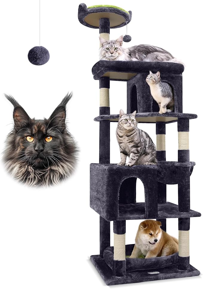 Globlazer Heavy Duty 72 Inch Cat Tree for Large Cats 20 lbs+ on Amazon