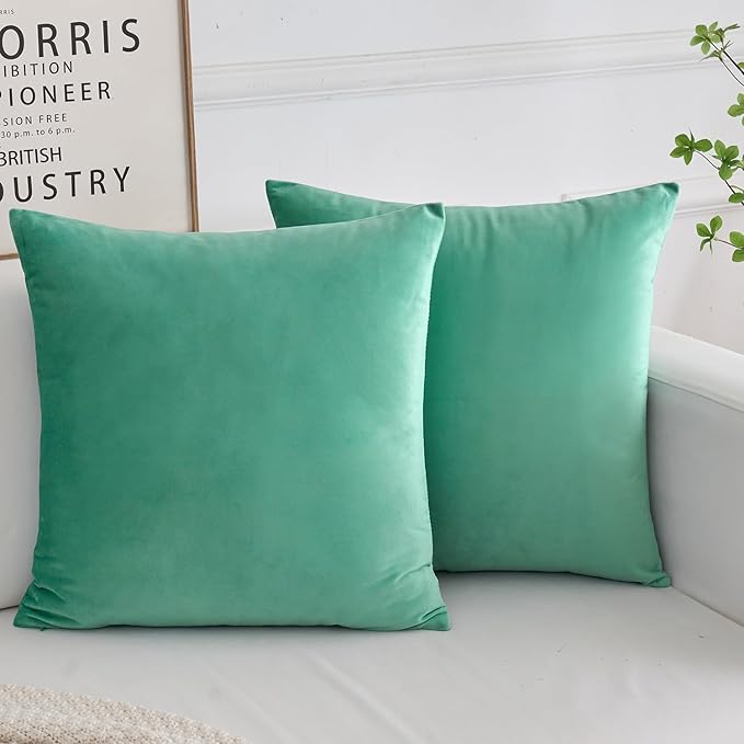 Velvet Decorative Throw Pillow Covers 18x18 (Set of 2)