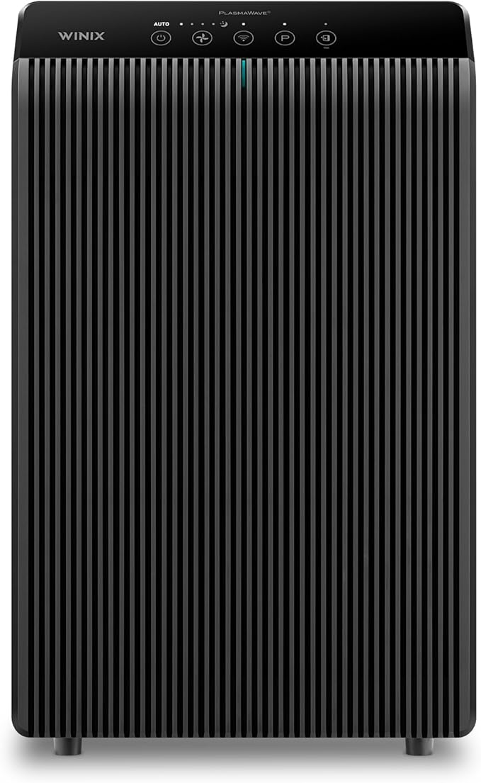 Winix 5500-2