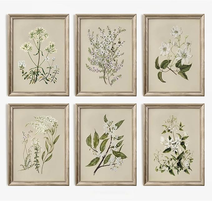Vintage Botanical Wall Art Set of 6 (Unframed Prints) - cottagecore bedroom starter kit