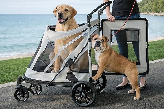 Pet Gear Expedition Pet Stroller on Amazon