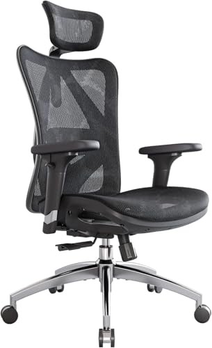 Sihoo M57 Ergonomic Office Chair