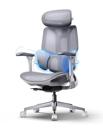 Hbada E3 Air Ergonomic Office Chair