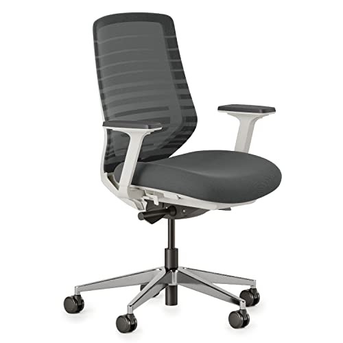 Branch Ergonomic Chair